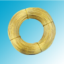 世界怎么了？黃銅圓線得多讀書多看報(bào)了